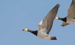 DSC_7126.jpg