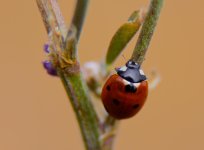 DSC_5807.jpg