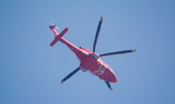 DSC_7146.jpg