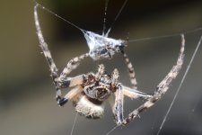 DSC_7587.jpg