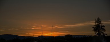 710_3390 (1000x389).jpg