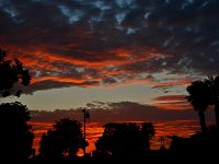 Sunset.jpg