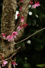 bokeh_.jpg