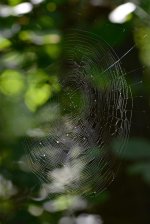 DSC_7214.jpg