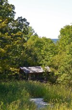 DSC_7216.jpg