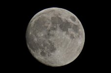 DSC_7252.jpg