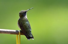 DSC_7194.jpg