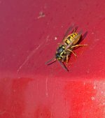DSC_7314.jpg