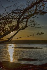 D810#3 Kettle Cove #3 HD2.jpg