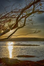 D810#3 Kettle Cove #3 HD7a.jpg