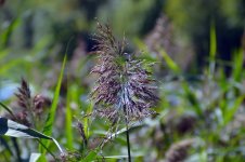 DSC_0004.jpg
