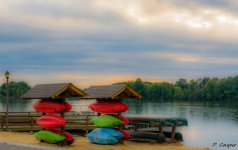#PTC_0278.jpg