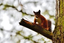DSC_0057.jpg DSC_0057.jpg