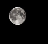DSC_0546.jpg