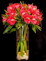 Pink Flowers with Pearls.jpg