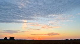 DSC_7296.jpg