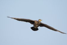 DSC_7789.jpg