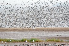 DSC_7667.jpg