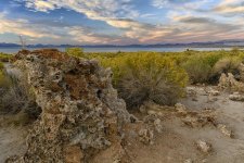 Mono Lake #3.jpg