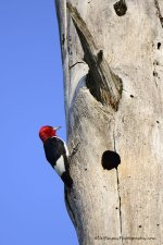 _DSC5984.jpg