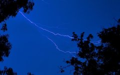 DSC_7376.jpg