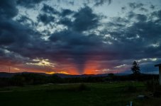 DSC_4792 (1000x662).jpg