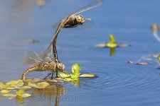 NEW_7561_webshot.jpg