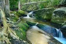 NEW_6046_HDR_webshot.jpg