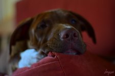 2014_8_0144.jpg