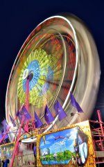 DSC_7442.jpg