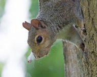 DSC_8041.jpg