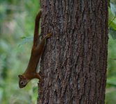 DSC_1522.jpg