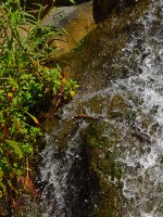 Waterfall2.jpg