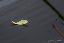 D71_0848.jpg