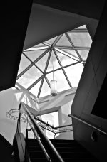 DSC_6050.jpg