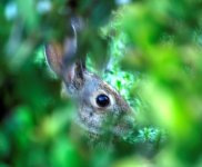 DSC_7065_tonemapped (2).jpg