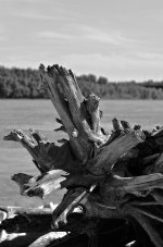 DSC_7584.jpg