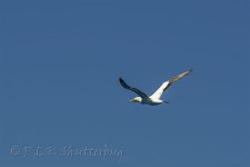 NEW_7650_webshot.jpg