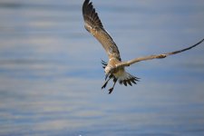 _DSC5679.jpg