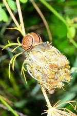 DSC_7999_edited.jpg