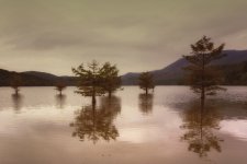 Ocoee River & Mountains--2.jpg