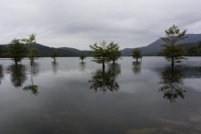 Ocoee River & Mountains-1877.jpg