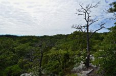 DSC_7714.jpg