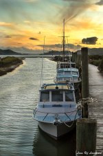 Coromandel Moored Boats LOL.jpg