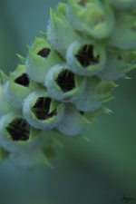 073-2-Edit.jpg