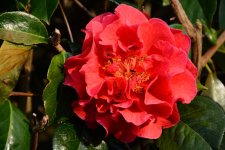 DSC_4670.jpg