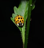DSC_8138_edited.jpg