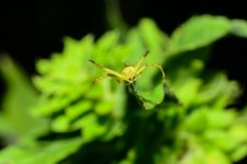 DSC_8160_edited.jpg