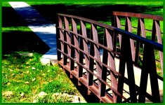 Bridge at the Park.jpg