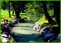 Cottonwood Creek.jpg